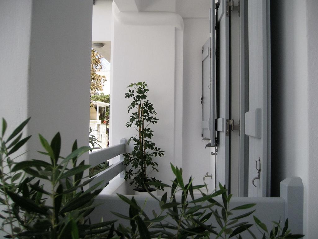 Aelia Apartments Naxos City المظهر الخارجي الصورة